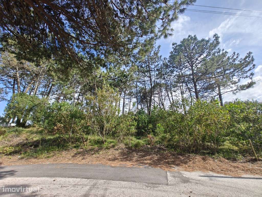 Lote a apenas 750 metros da Lagoa de Óbidos-3