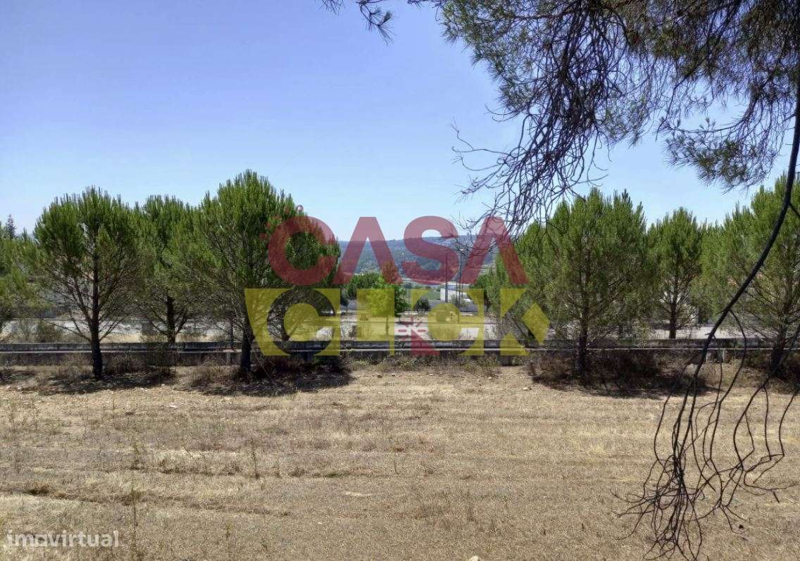 Lote de Terreno T4 Venda em Constância,Constância-6