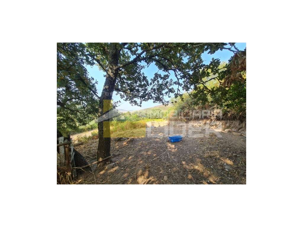 Ruína inserida em terreno urbano com 110m2 +2 parcelas de terreno R...-8