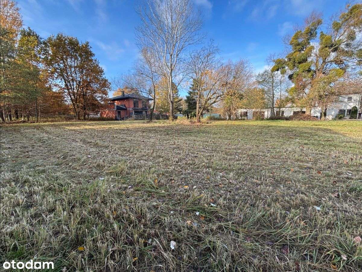 Zbuduj dom blisko lasu - Pełny obrazek: 2/7