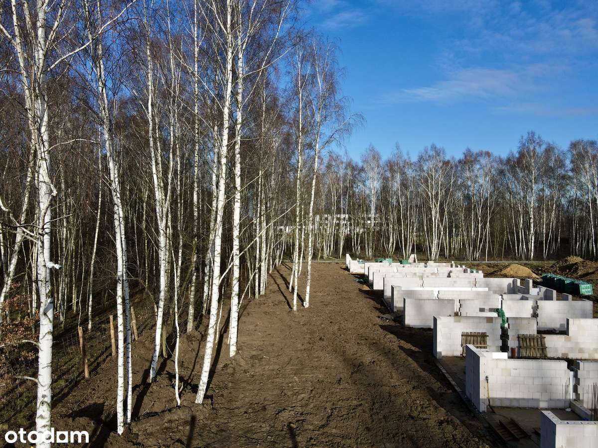 Brzozova Park – nowoczesne domy w lesie brzozowym | już od 590.000 zł - Pełny obrazek: 5/20