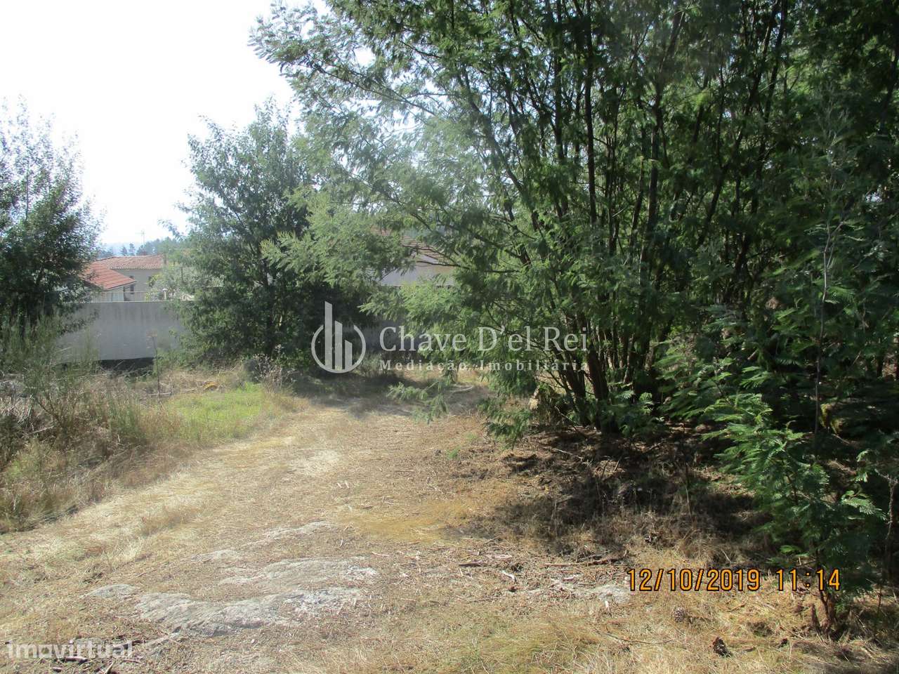 Terreno  Venda em Santiago de Cassurrães e Póvoa de Cervães,Mangualde - Grande imagem: 2/5