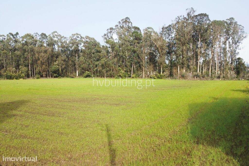 Terreno para construção em Gemeses, Esposende-1