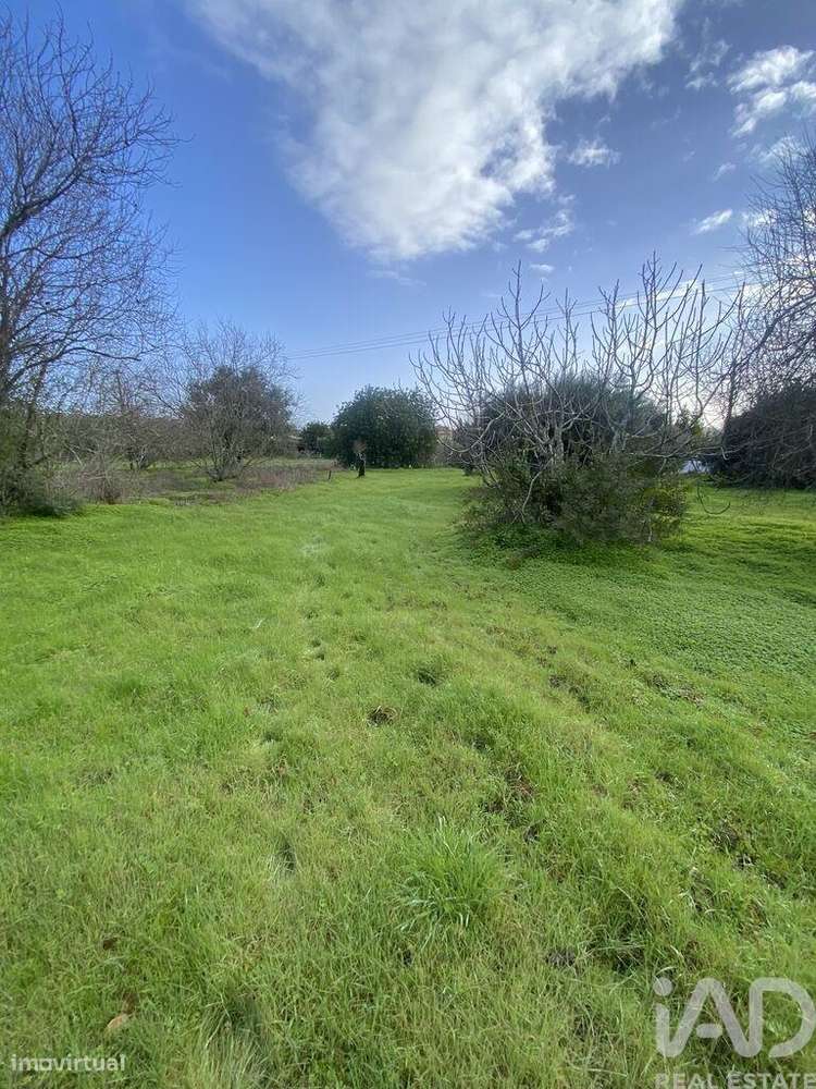 Terreno Agrícola em São Brás de Alportel - Grande imagem: 4/19