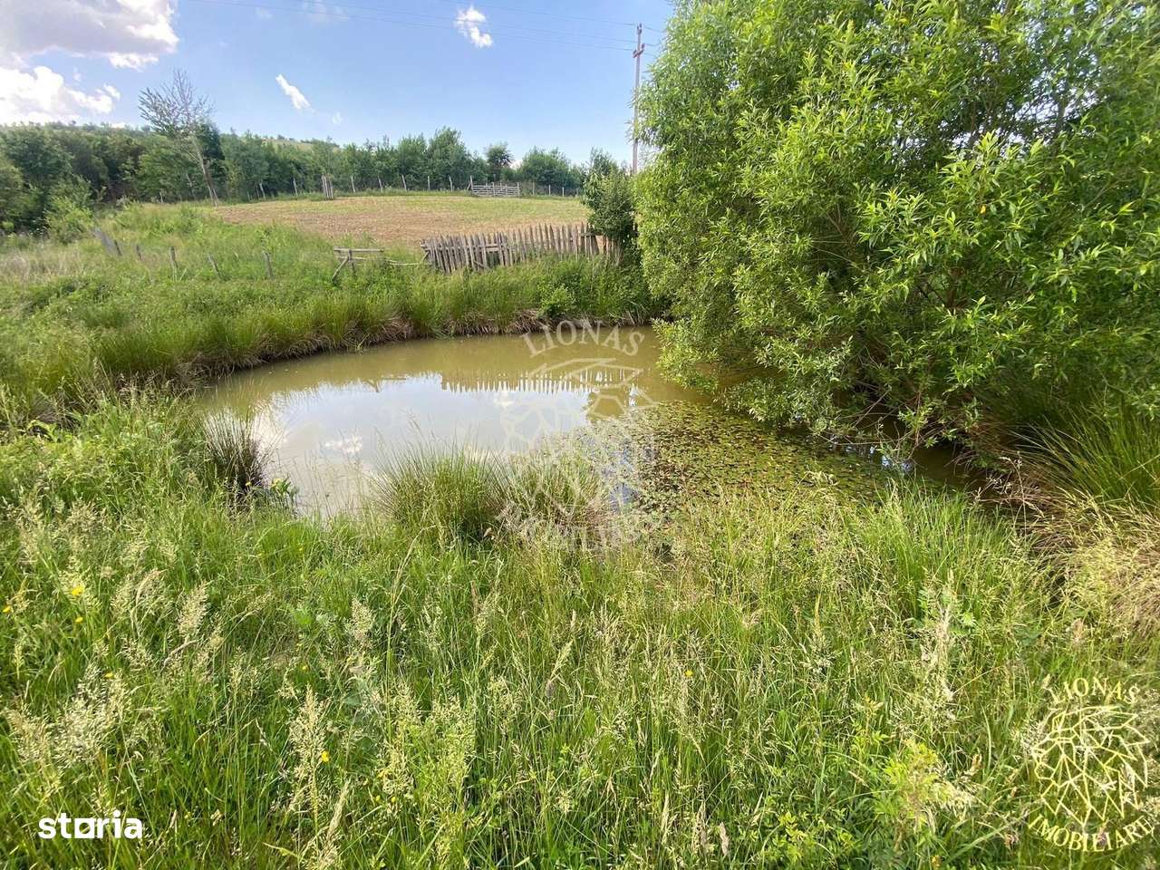 Teren 6500 mp-Lac-vedere panoramica-ideal cabana-Cusma - Imagine principală: 5/8