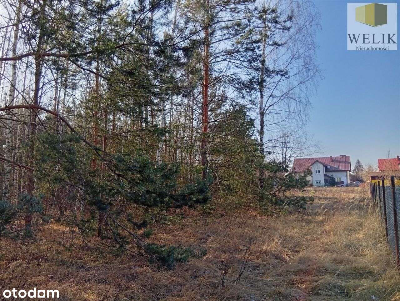 Działka, 2 100 m², Biała Podlaska - Pełny obrazek: 5/5