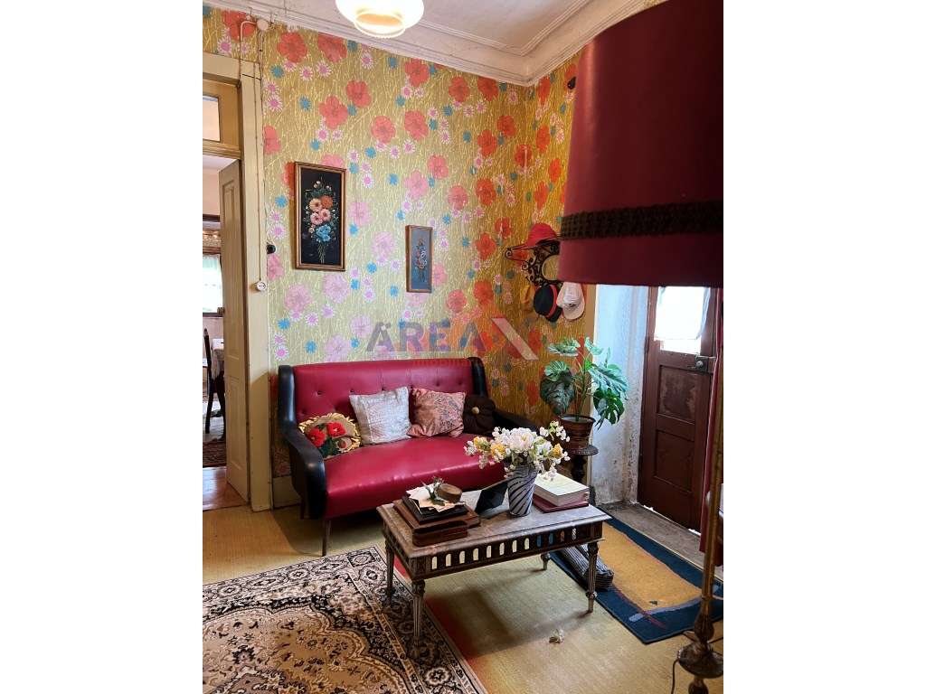 Oportunidade: 2 casas + artigo rústico com 2,0648 ha, perto de Oliv...-52