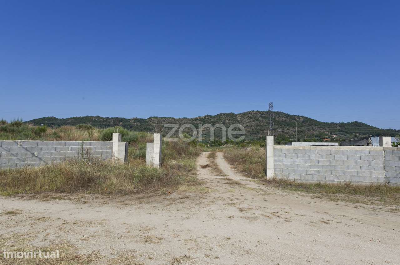 Terreno com projeto agrícola em Belmonte - Grande imagem: 1/15