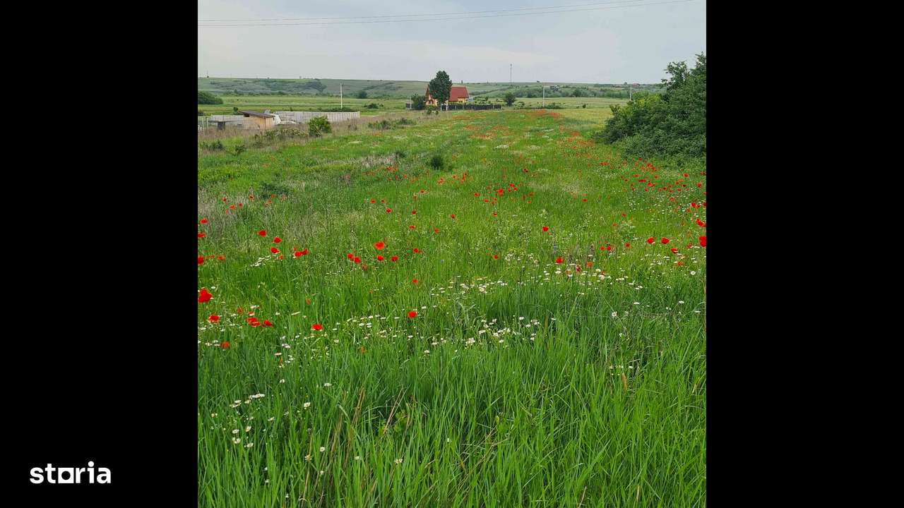 Teren intravilan, langa padure, Pielesti-Robanesti - Imagine principală: 4/4