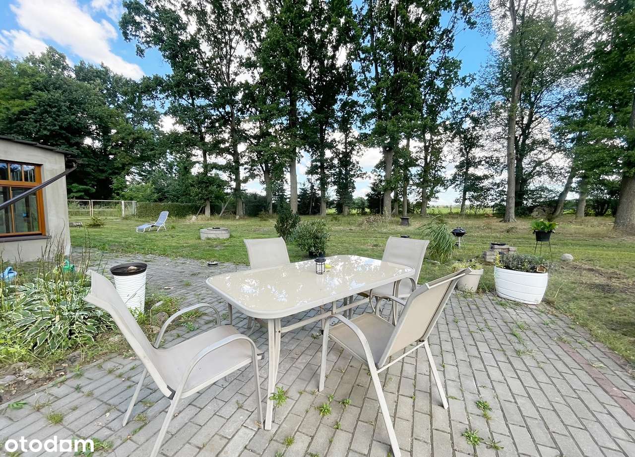 Parterowy dom na działce 4000m2 ze starodrzewiem-15