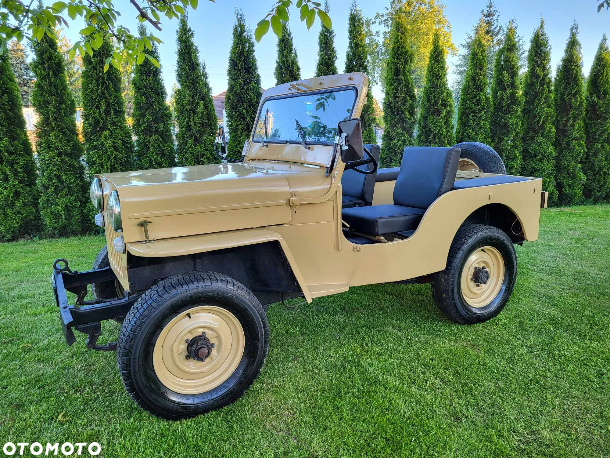 Jeep Willys - 15