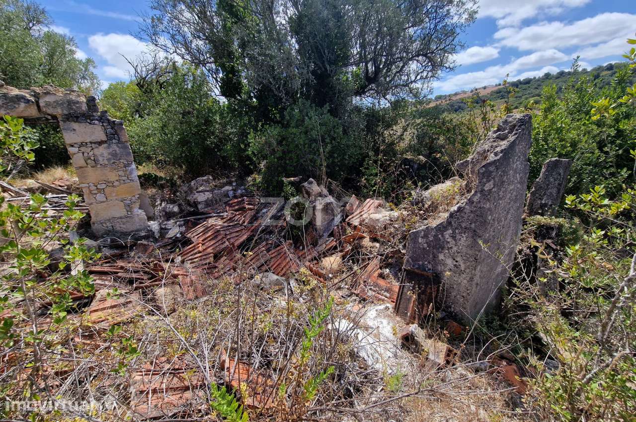 Ruina com terreno 11.878m2 vale da Talha Carvalhal Santarém - Grande imagem: 3/17