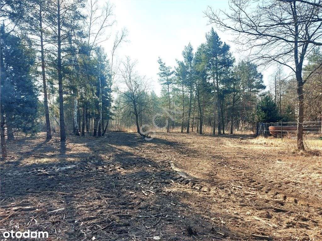 Józefow, Działka z Wz - Pełny obrazek: 2/6