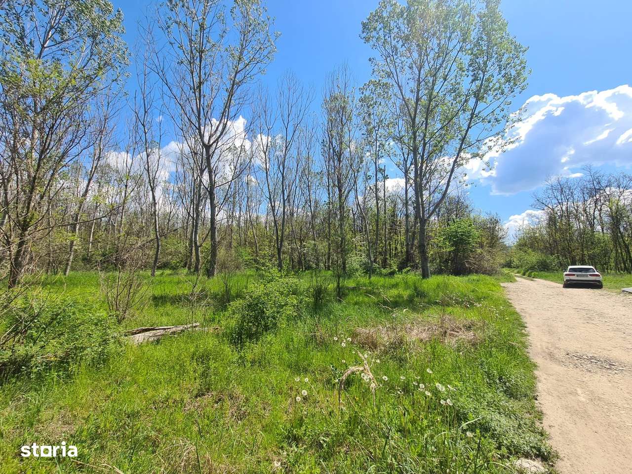 Teren de vanzare / Dem Radulescu-6