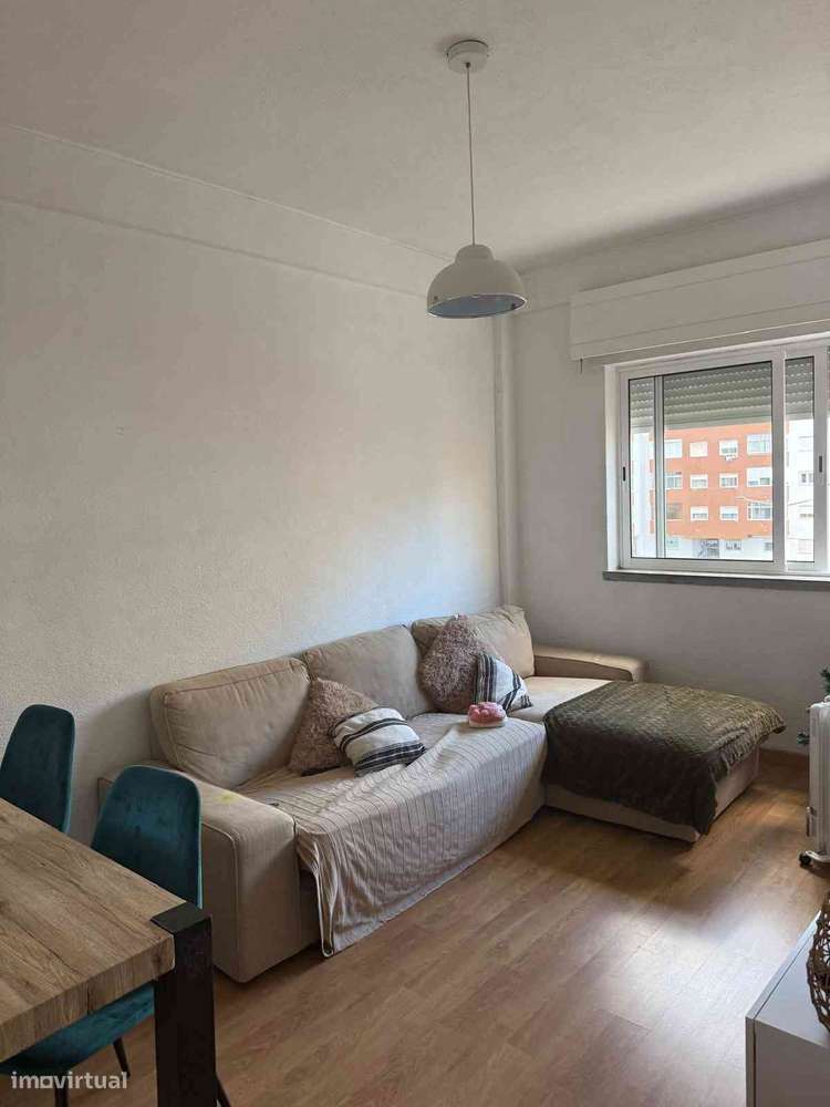 T3 transformado em T2 Miratejo-12