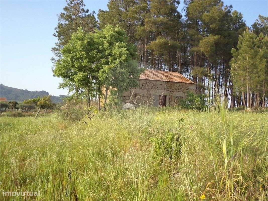 Quinta  para venda - Grande imagem: 3/47