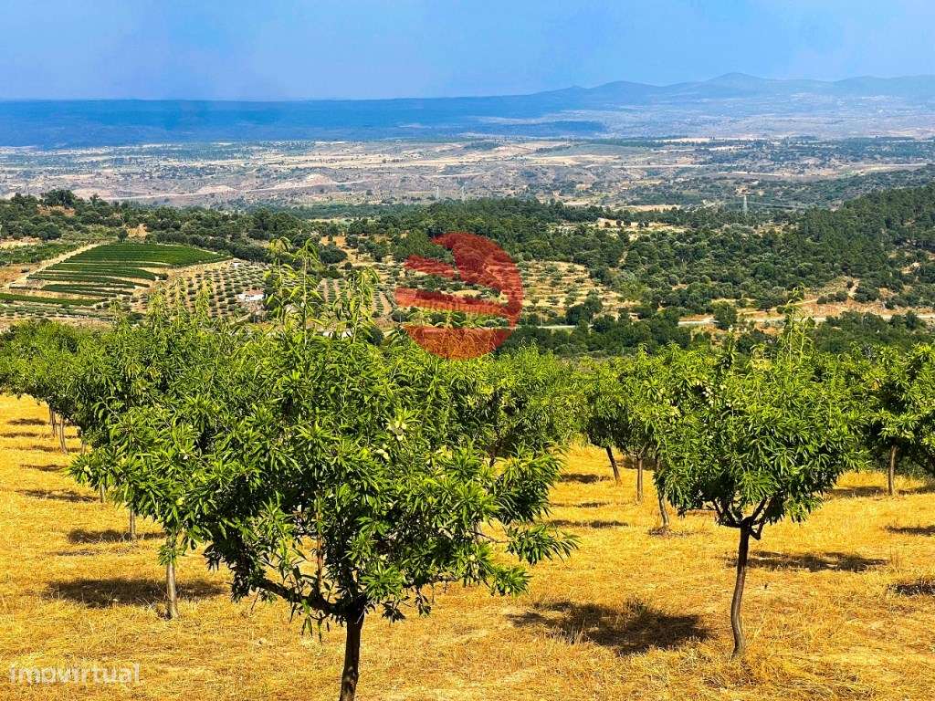 QUINTINHA - Grande imagem: 4/16