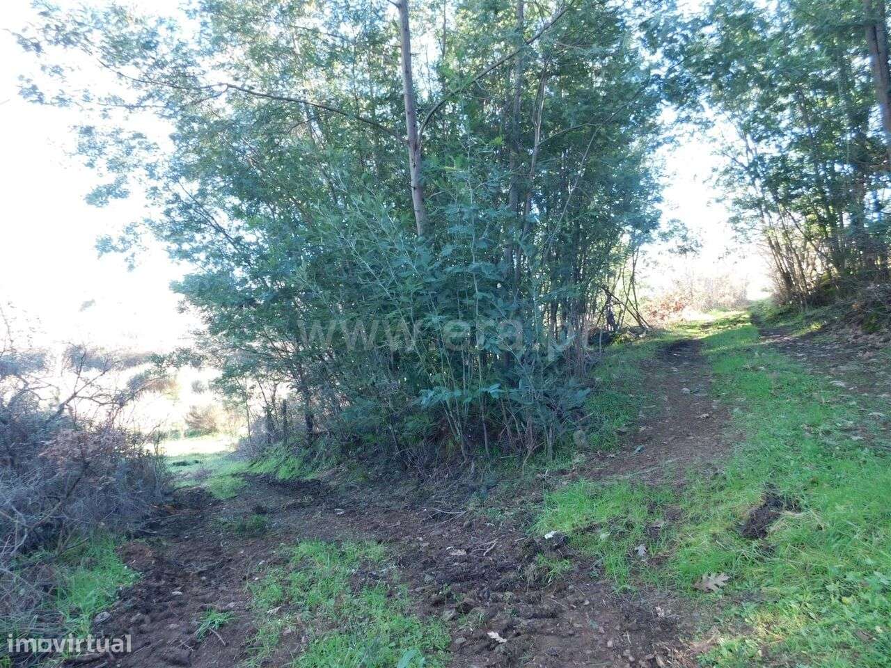 Quinta / Fundão, Pesinho - Grande imagem: 5/5