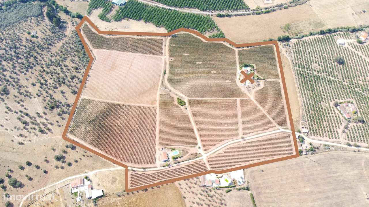 Vinha com 166 228m2, com benfeitoria (projeto) em Estremoz. - Grande imagem: 5/31