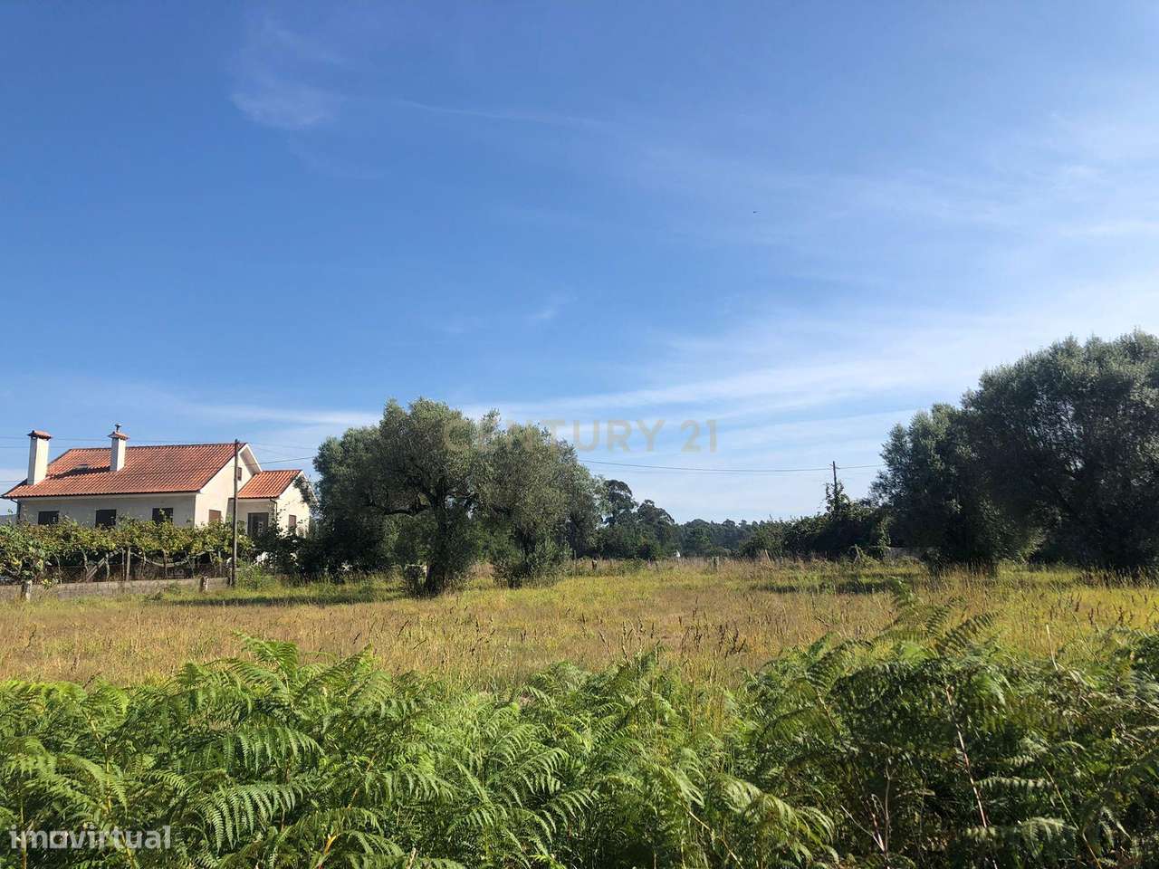 Terreno Rústico à Venda em Braga, Esposende - 110.000€ - Grande imagem: 3/13