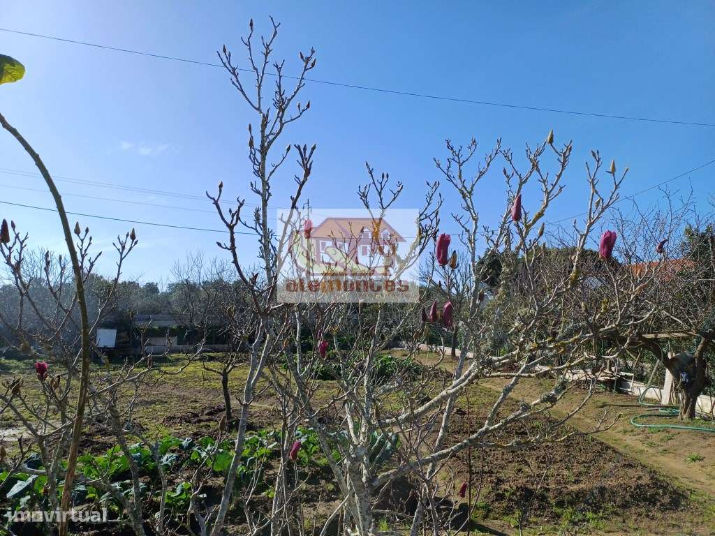 Monte tradicional alentejano para renovar - Melides-8