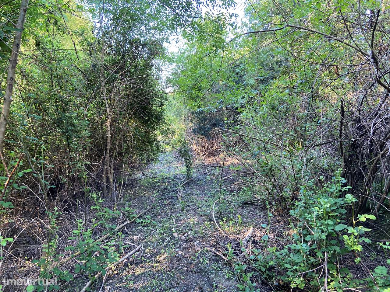 Terreno, Viseu, Tondela, Tonda-13