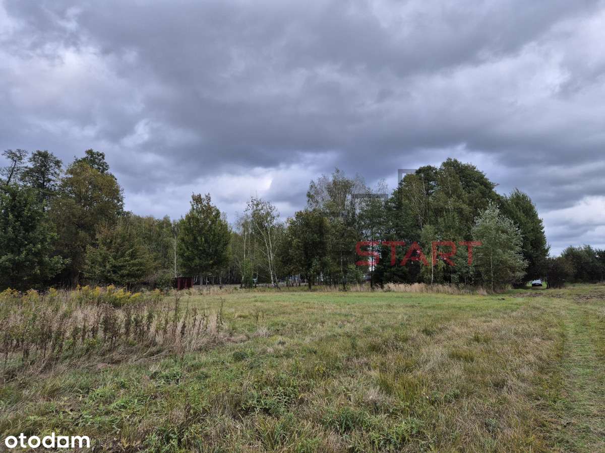 Duża ndziałka blisko Grodziska Maz - Pełny obrazek: 5/10