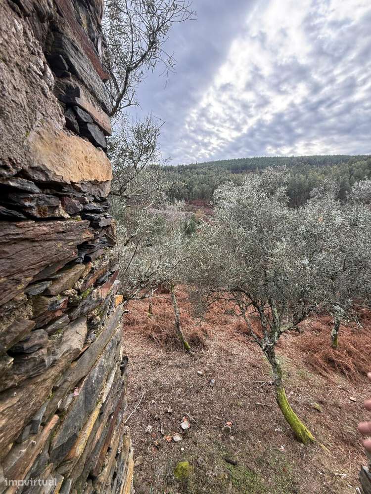 Quinta, Castanheira Pêra - Grande imagem: 5/6