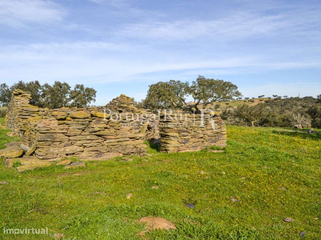 Herdade de 60 ha e monte, em Reguengos de Monsaraz-17