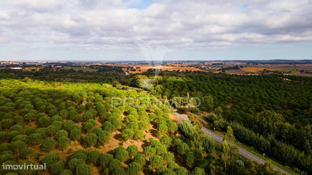 Herdades em São Luís - Grande imagem: 2/17