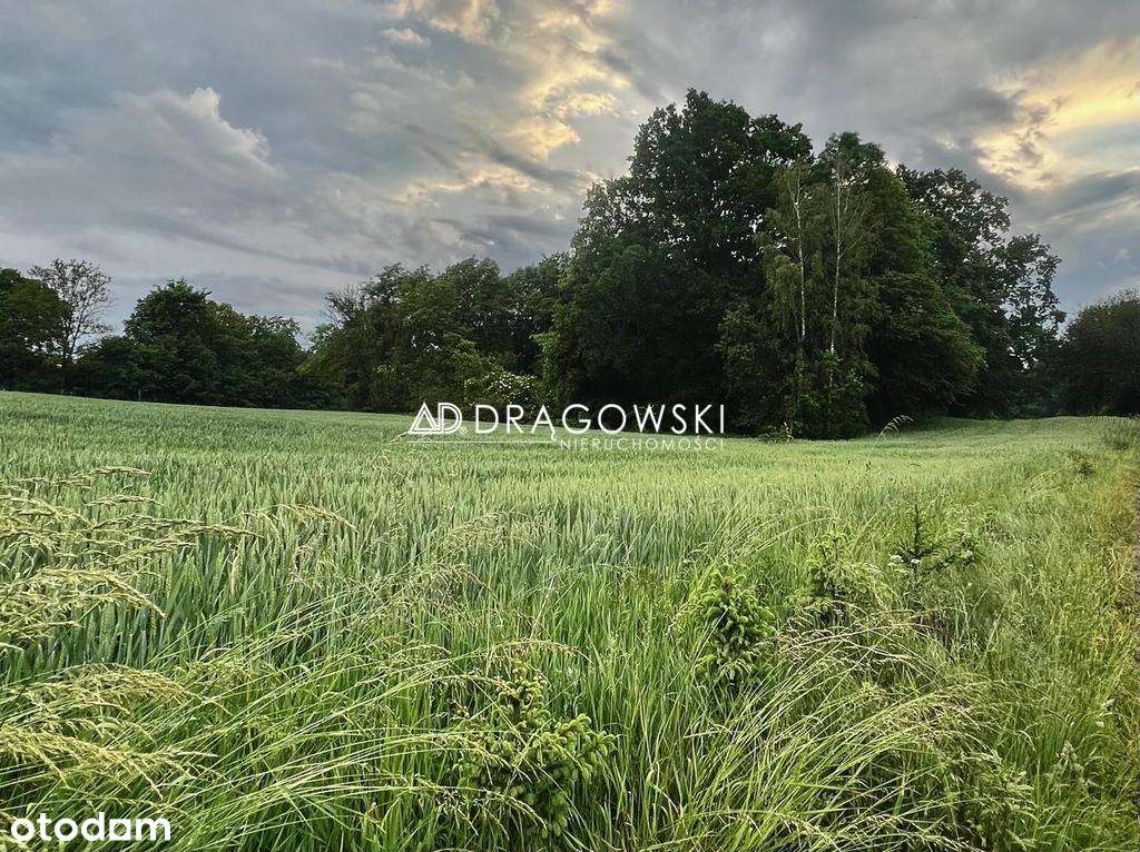 Warmia atrakcyjna działka budowlana z "WZ" + media-4