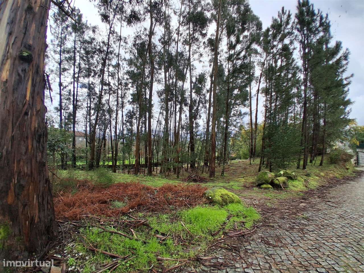 Terreno para Investimento Marco de Canaveses-14