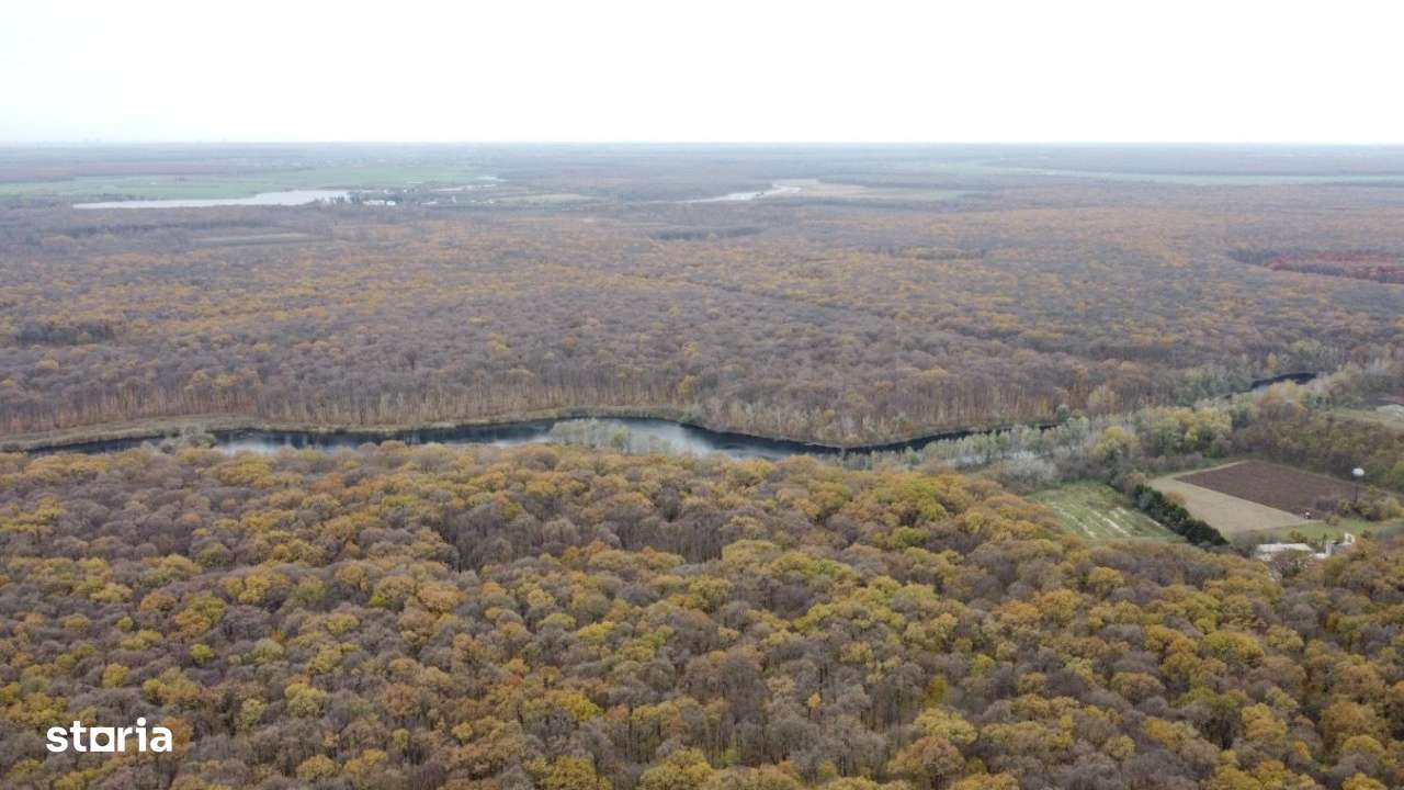 Teren situat langa Padure l Balta Neagra - Imagine principală: 1/8