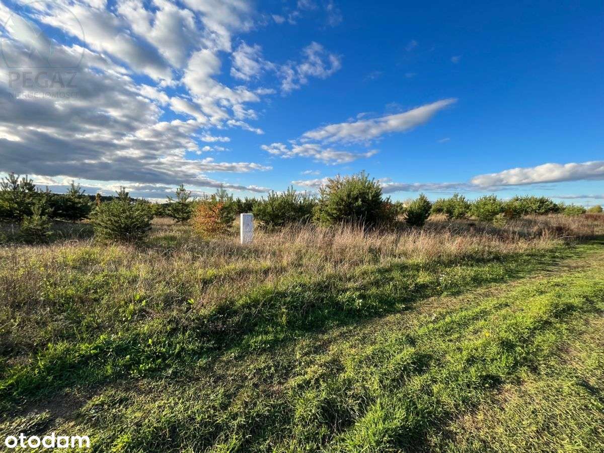 Działki budowlane Łowyń - Pełny obrazek: 4/6