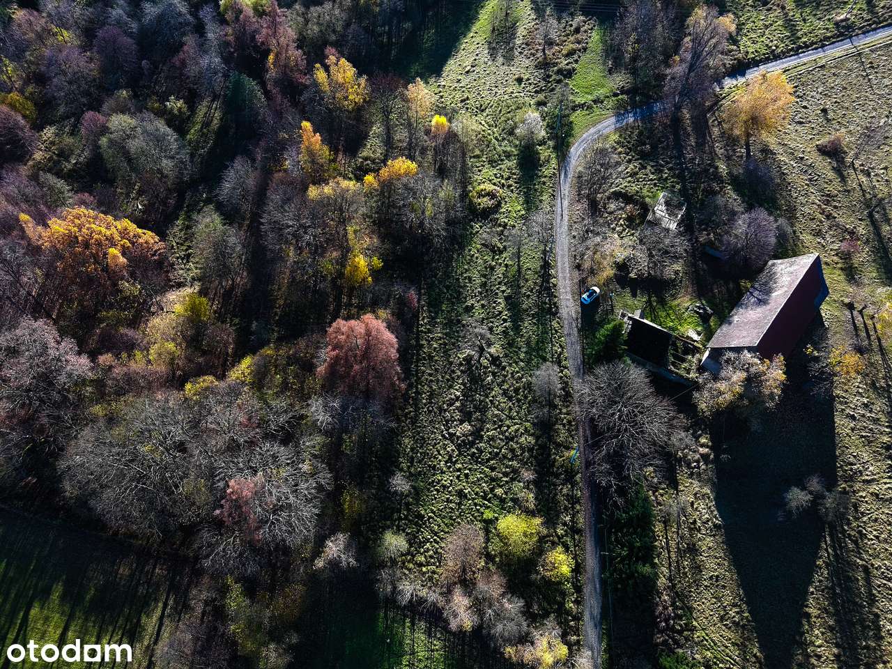 Działka pod lasem w Podgórkach-4