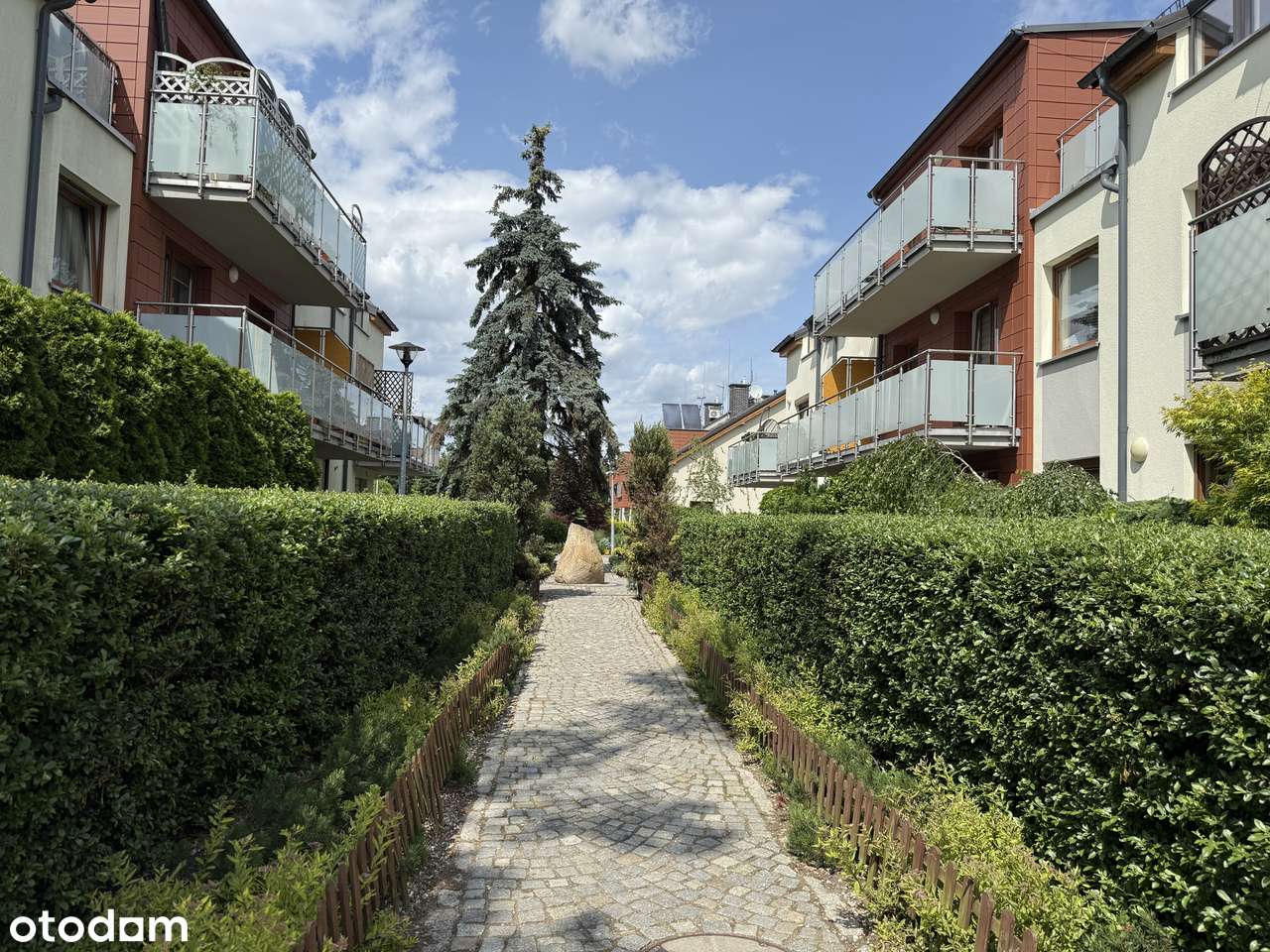 Duży Taras, Maślice przy lesie i zieleni-13