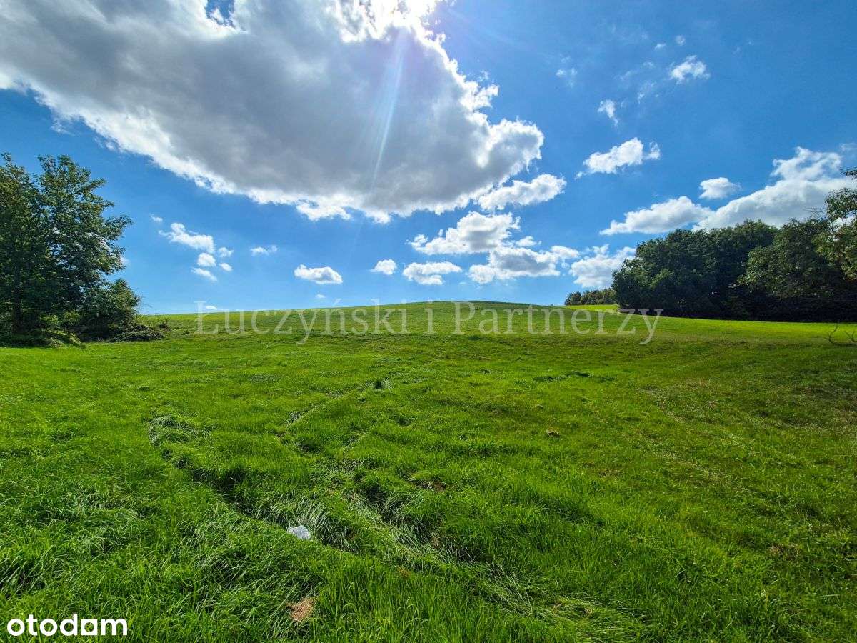 Wyjątkowa działka w Pławnej Górnej - Pełny obrazek: 4/5