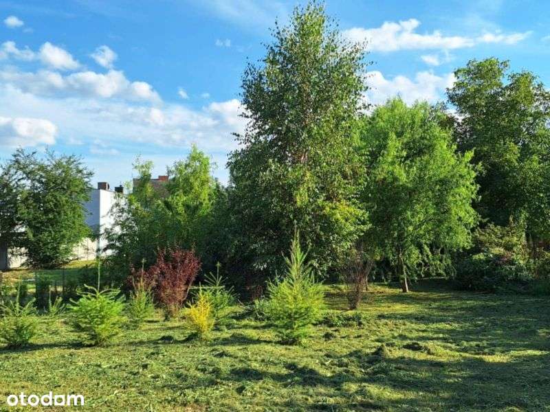 Nowa niższa cena! Dom, 4 pokoje, 100 m2, Opalenica-18