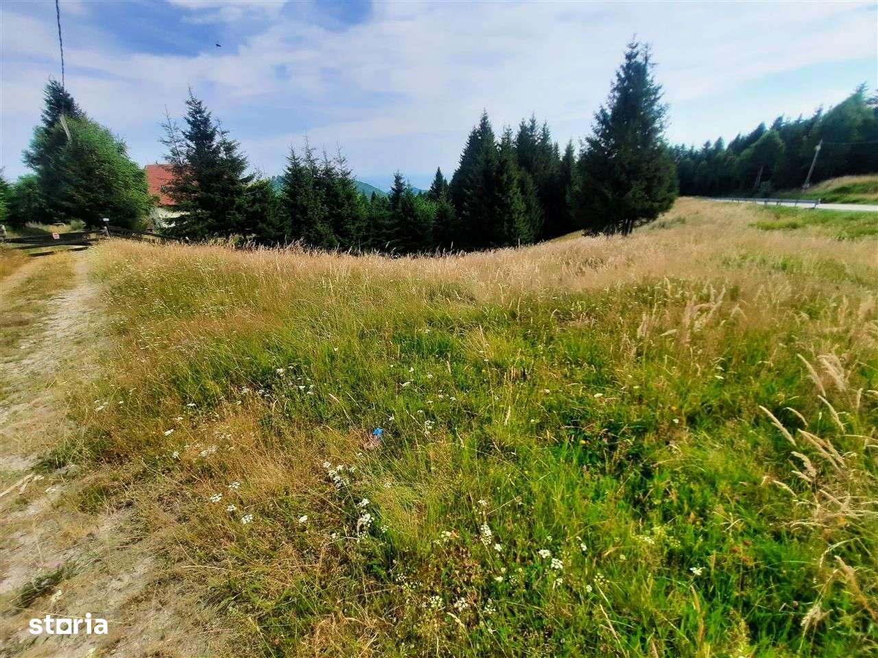 Teren intravilan pt cabană/pensiune – 800 mp, Păltiniș | Zonă superbă - Imagine principală: 3/7