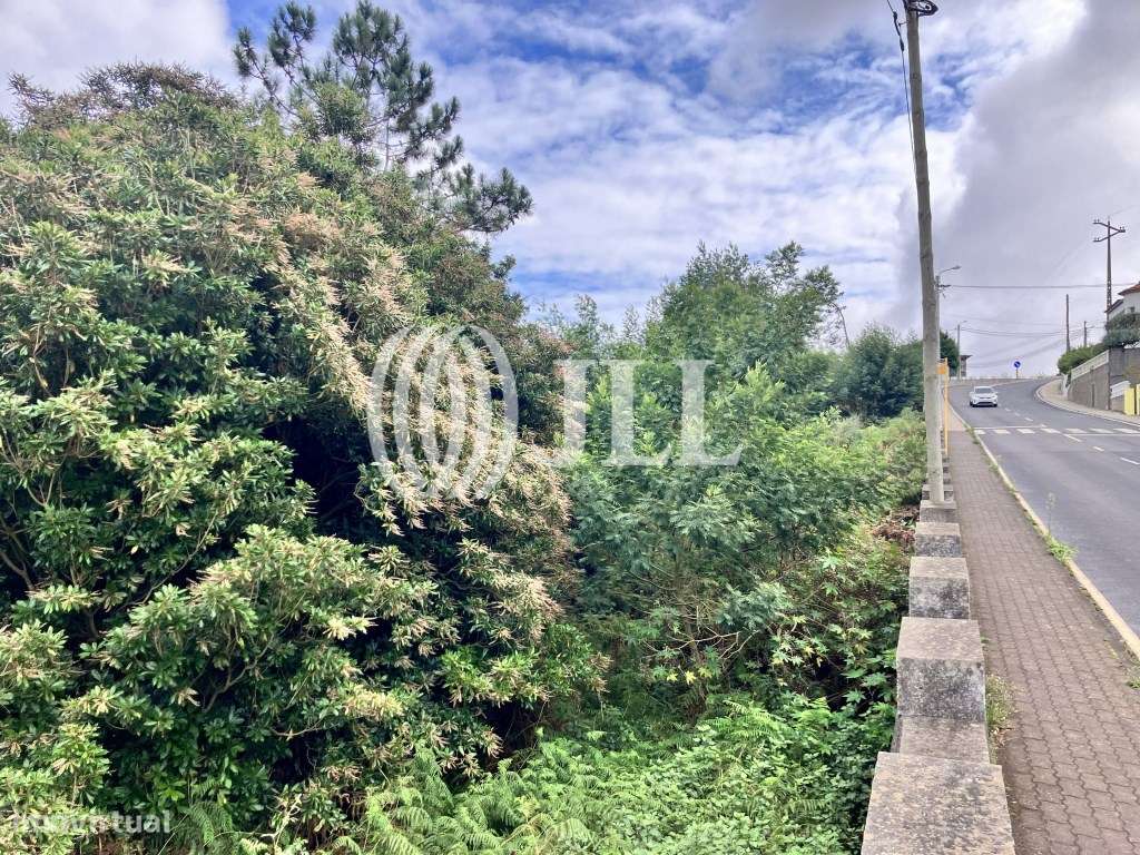 Terreno rústico na zona do Vale Paraíso, Madeira - Grande imagem: 5/6