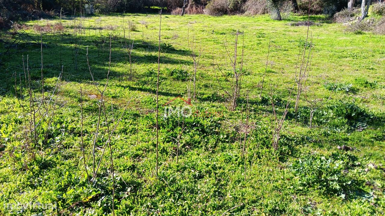 Terreno  Venda em Santo António das Areias,Marvão