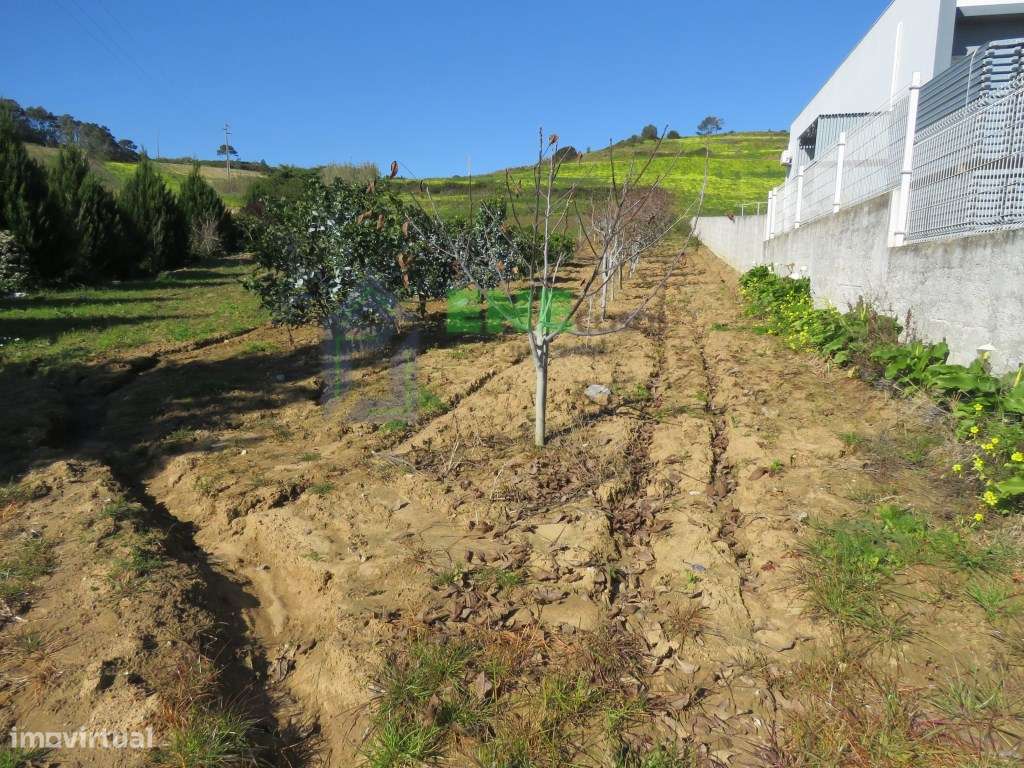 Terreno em Freiria Torres Vedras - Grande imagem: 2/9