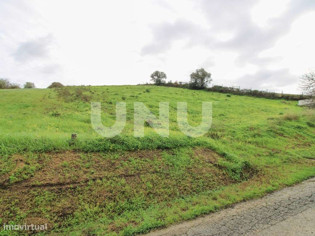 Arrecadação e Terreno Rústico, em Arruda dos Vinhos! - Grande imagem: 5/5