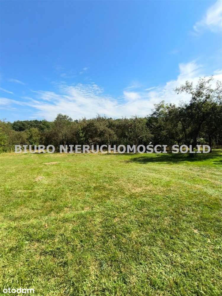 Ładna okolica Działka Woszczyce 133 tys - Pełny obrazek: 4/6