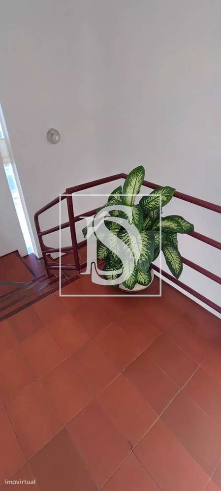 T2 - Barranha - Sra da Hora-13