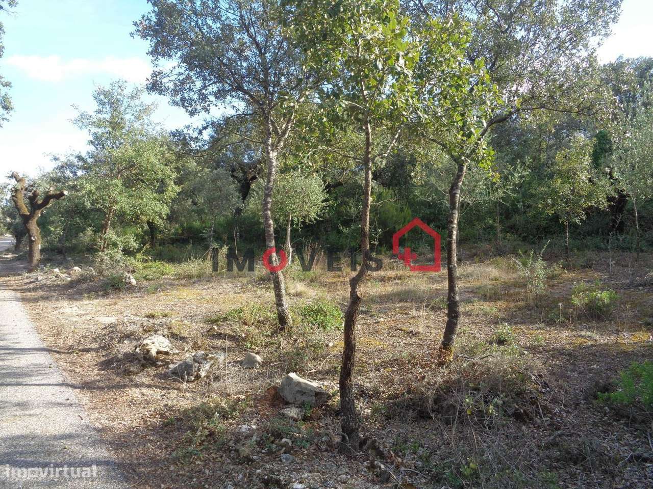 Terreno Rústico - Grande imagem: 1/2