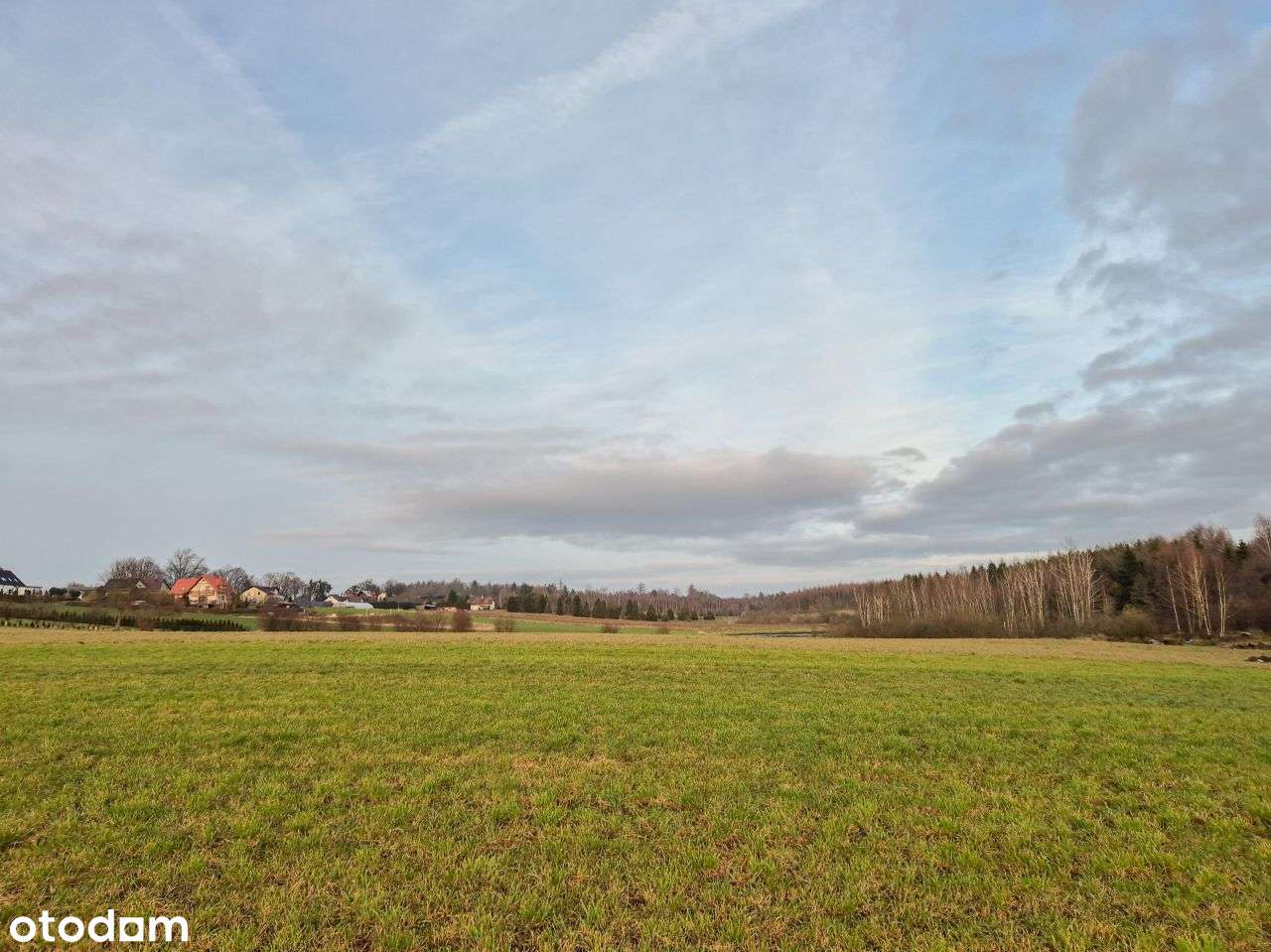 Działka, 1 336 m², Rybno-3