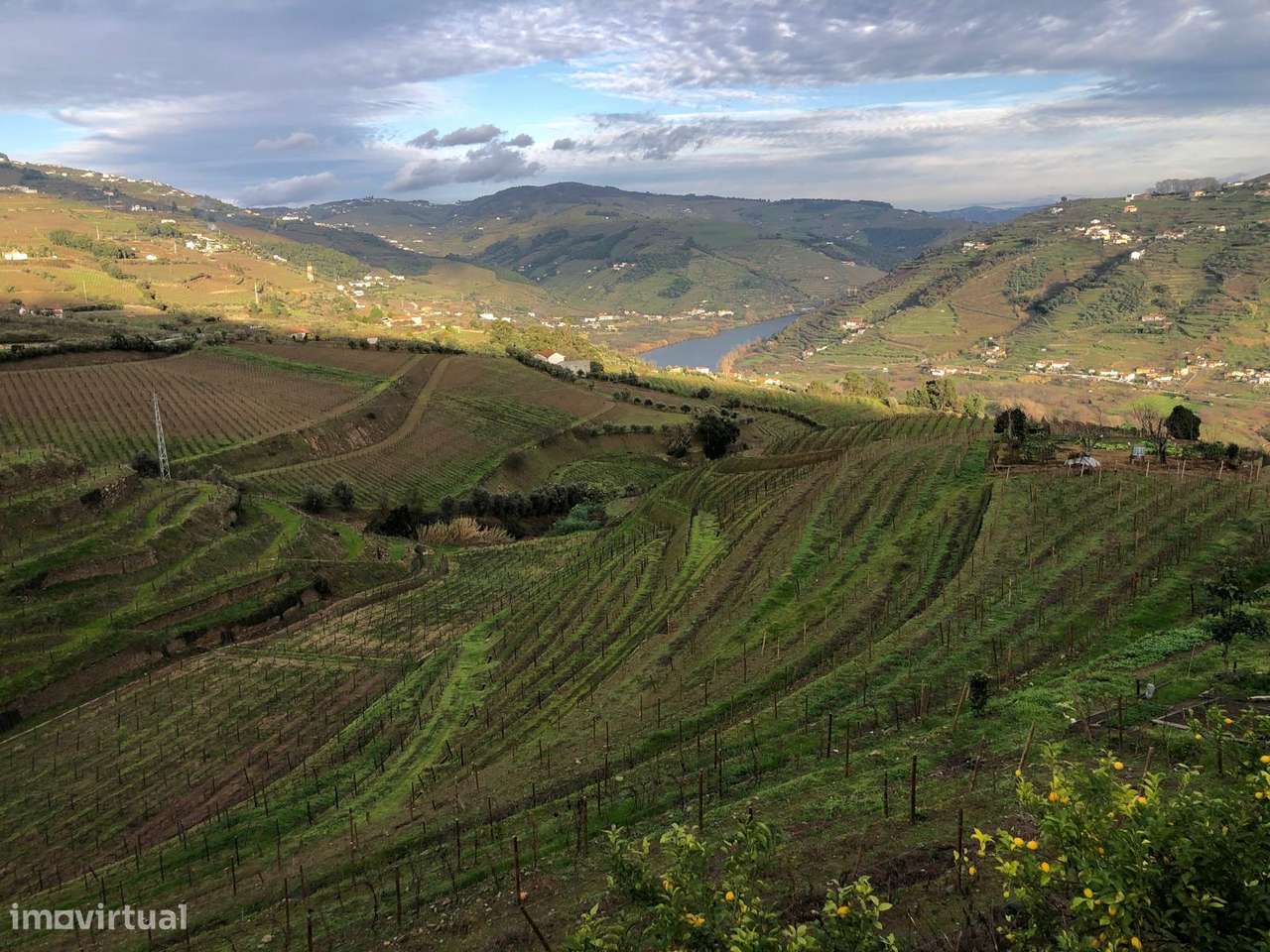 Venda de Quinta - Vistas do rio Douro-7