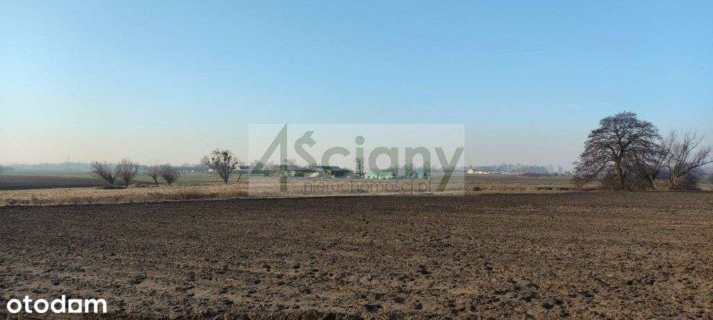 Klimatyczna działka w pięknej okolicy - Pełny obrazek: 4/9