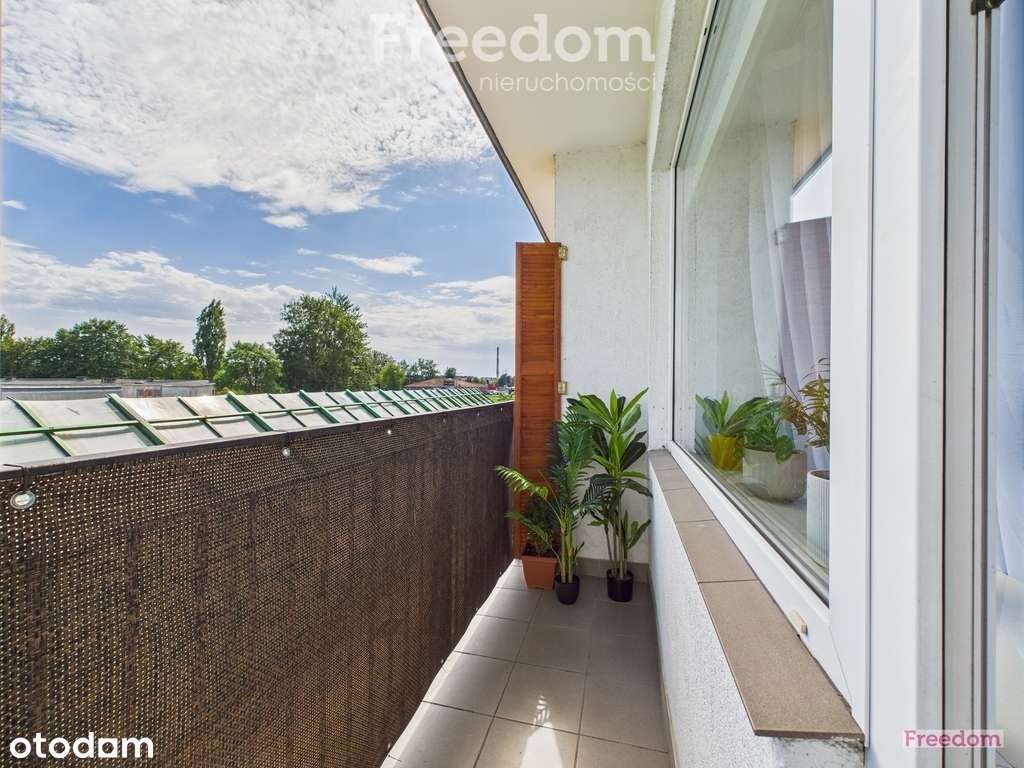 3 pokoje z klimatem - centrum Koszalina - Pełny obrazek: 5/15